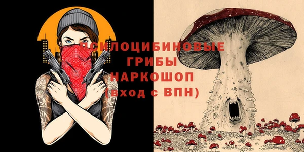 винт Алексин