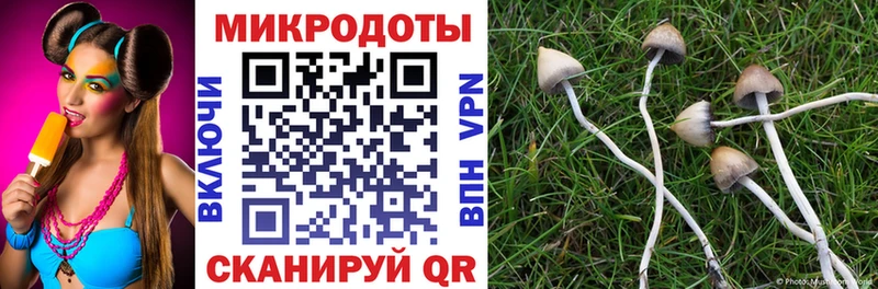 Псилоцибиновые грибы прущие грибы Тында